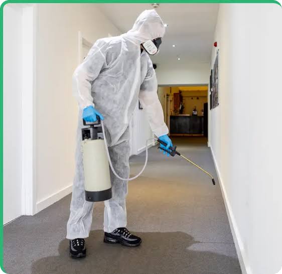 Pest Control Service